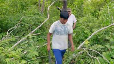 HE HAS SPENT OVER 20 YEARS
INVESTIGATING THEIR HISTORY. - Lost Cities of the Amazon