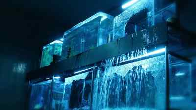 He held her here, too. - CSI: Vegas