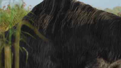 He himself is a source of food
for smaller creatures. - Prehistoric Planet