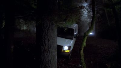 He hit a tree. - Psych