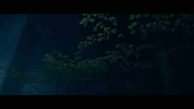 He immediately attacked me
and threw me on the ground. - Invisible Monsters: Serial Killers in America
