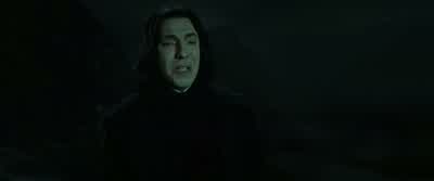 He intends to hunt them down now,to kill them. - Harry Potter and the Deathly Hallows: Part 2