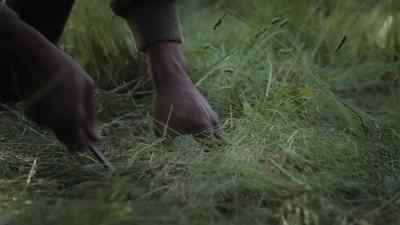 He intercepted
that German plane, - Come Out Fighting