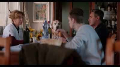 He isn't as involved in the business - Dogs