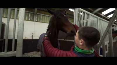 He is just a bad-tempered
little horse. - Horsepower