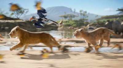 ♪ He just can't wait to be king ♪ - The Lion King