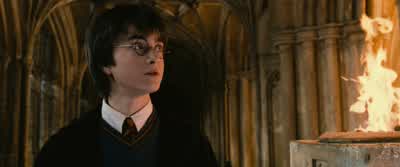 He just caught fire.- And about time too. - Harry Potter and the Chamber of Secrets