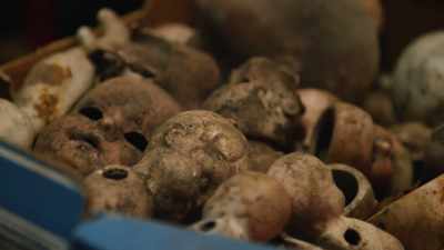 HE JUST SAID THAT SOMEONE
HAD TO PRESERVE THEM. - Lost Relics of the Knights Templar