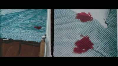He was just stabbed three
times: where's the blood? - Who Killed Robert Wone?
