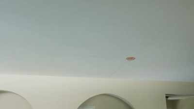 He just started cutting
into the ceiling - Help! I Wrecked My House