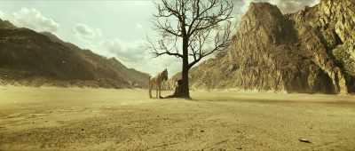 'He kept leaping high,
trying to touch the sky. - Shamshera