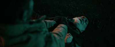 He knows that she could
change everything. - The Survivalist