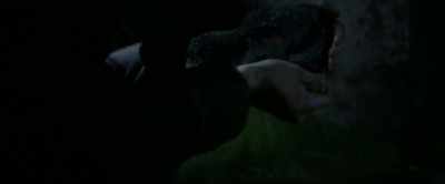He knows what you were
born, not who you are. - Fantastic Beasts: The Crimes of Grindelwald
