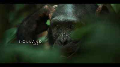 He leaves behind - Chimp Empire