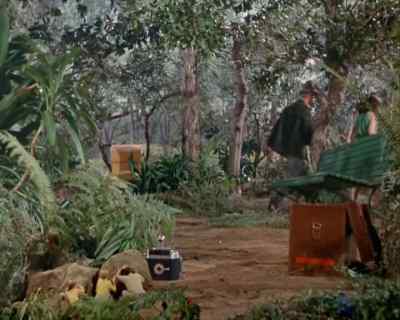 He left
his camera. - Land of the Giants