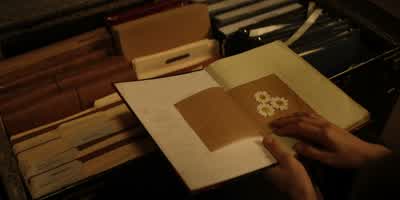 He left me daisies. - Reacher