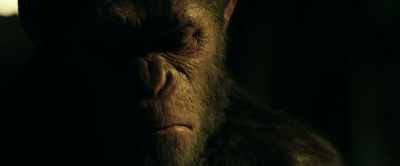 He left this morning,
took many men with him. - War for the Planet of the Apes