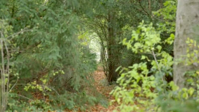 He had left the house,
was somewhere, cold and afraid. - Killers: Caught on Camera