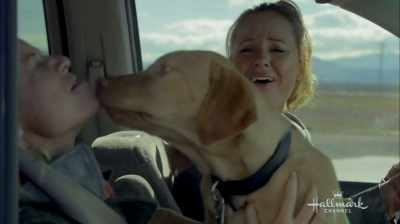 He likes you. - Love at First Glance