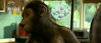 He likes you. - Rise of the Planet of the Apes