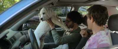 -He likes you.
-[urinating continues] - Dog Gone