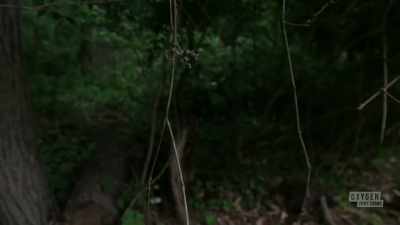  - He literally led
 us out in the woods, - Mastermind of Murder
