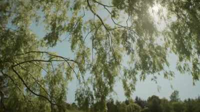  He lived on a pretty
 sumptuous 4,000 acre estate. - Black Life: Untold Stories