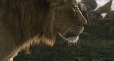 He lives in you - Mufasa: The Lion King