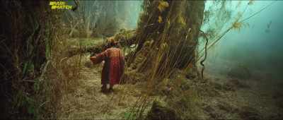 He looks like - The Monkey King: The Legend Begins