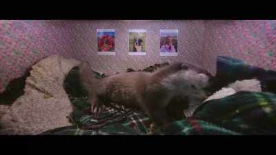 He looks quite happy - Billy & Molly: An Otter Love Story