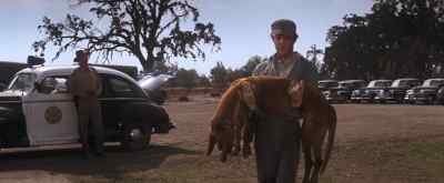 He made it! - Cool Hand Luke