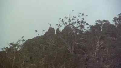 He“) me! - Picnic at Hanging Rock