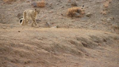 He must make a kill, - Hostile Planet
