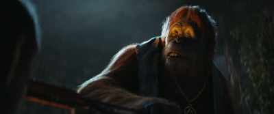 He was my village. - Kingdom of the Planet of the Apes