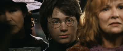 He was nothing more than a murderer. - Harry Potter and the Chamber of Secrets