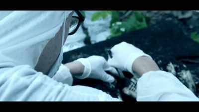 He offered an inside into insects
and their relationship with humans - The Real Prime Suspect