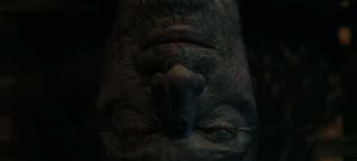 He offers up his pain - Guillermo del Toro's Cabinet of Curiosities