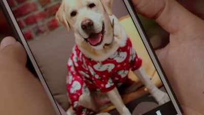 He only does that now
if he really likes you. - Christmas Unleashed