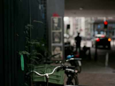 He opted for sterilisation
and returned to Amsterdam. - Occupied City