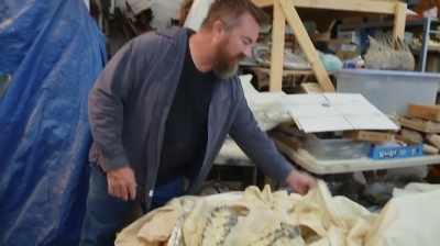 HE PASSED AWAY, - Dino Hunters