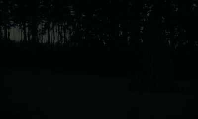 He was playing and when it got dark,
he couldn't find his way back home. - Family Dinner