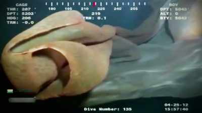 HE PREPARES A TEST TO
SEE IF HE CAN REPLICATE - Strange Evidence