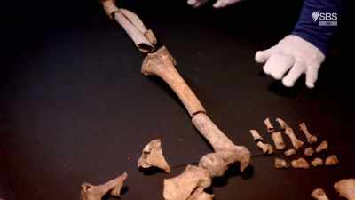 He is probably the chieftain - Curse of the Ancients with Alice Roberts