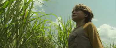 He put something on his weenie - In the Tall Grass
