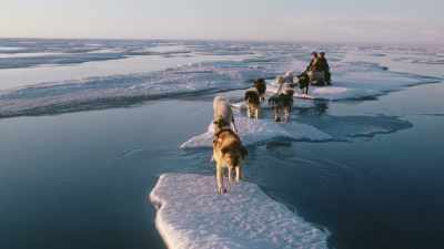 He raced his dogs over it
to safety. - Tales From The Explorers Club