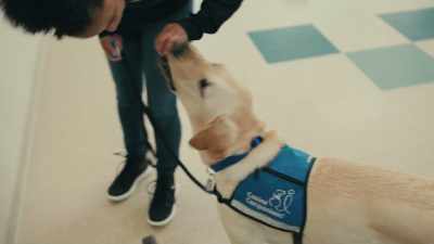 He is really good at precision
when it comes to tasks. - Inside the Mind of a Dog