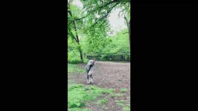 He is recording me,
and threatened myself and my dog. - Stamped from the Beginning