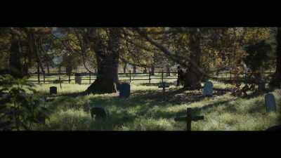 He had refused to visit his
father on his death bed, - Abraham Lincoln