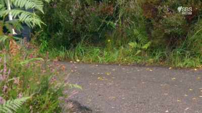 He repeated this for every
new bend in the road. - Scotland from the Sky