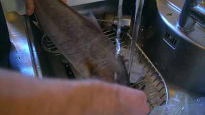 He'’s gathered together
the ingredients - Stanley Tucci: Searching for Italy